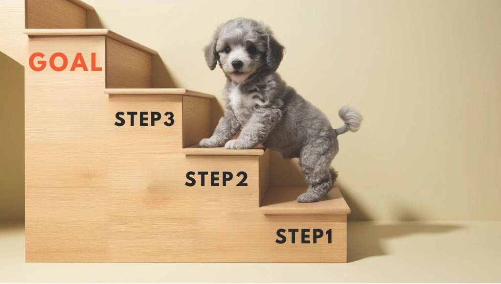 犬のトイレのしつけ方3STEP